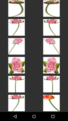 Make Bouquet android App screenshot 0